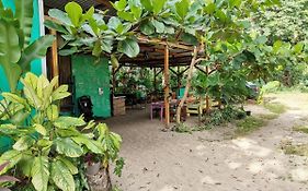 Oasis
