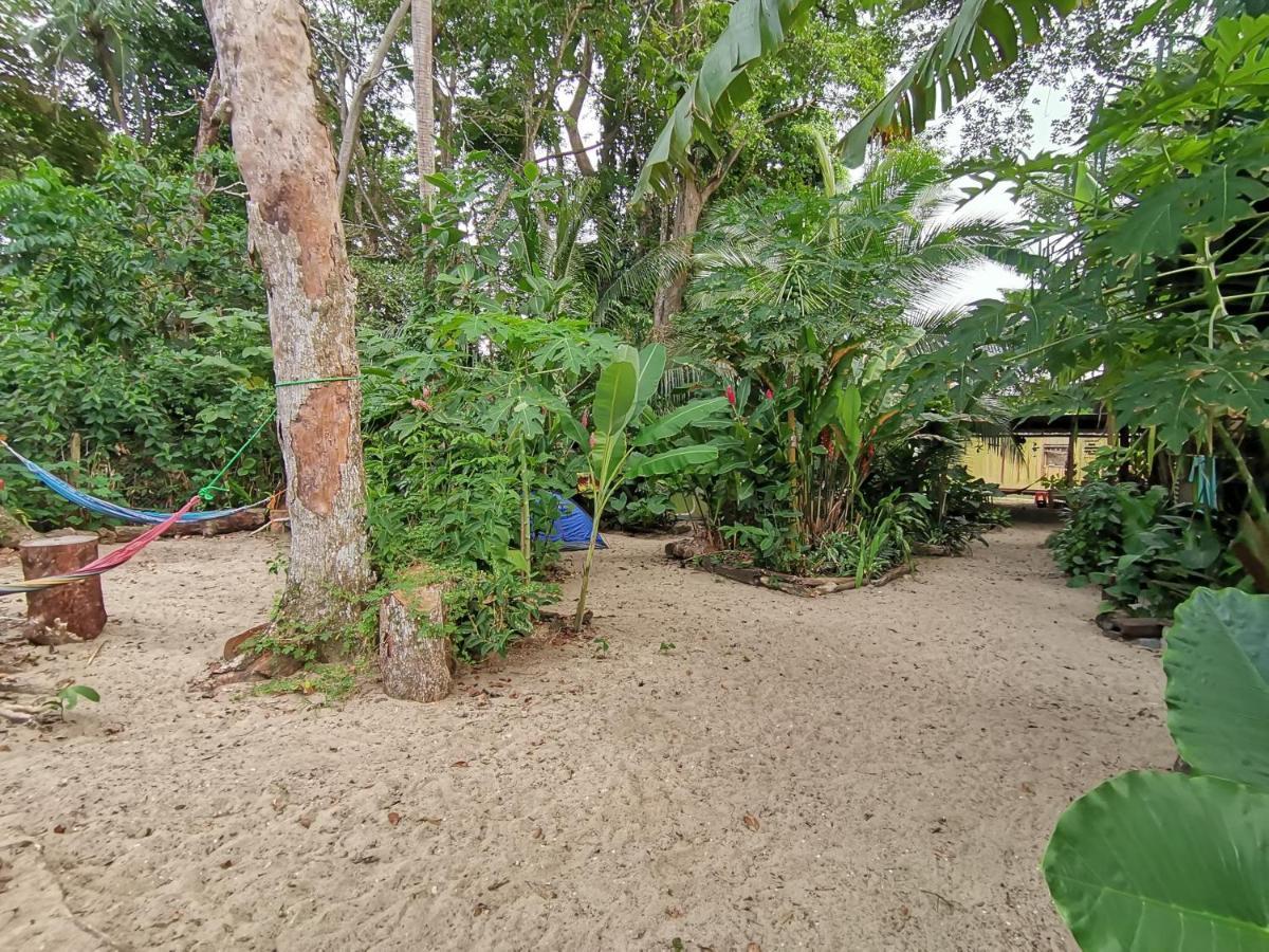 Oasis Albergue Puerto Viejo de Talamanca Exterior foto
