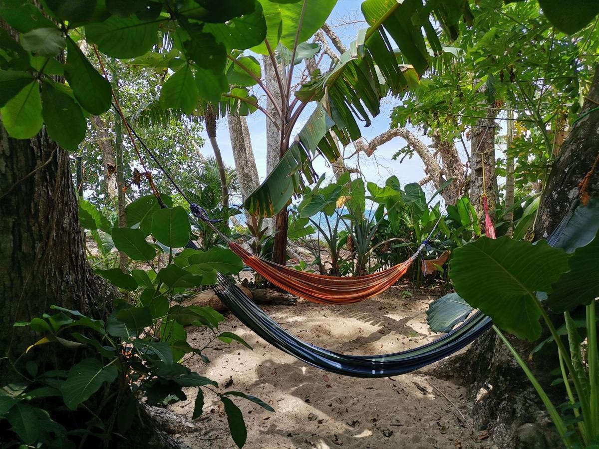 Oasis Albergue Puerto Viejo de Talamanca Exterior foto