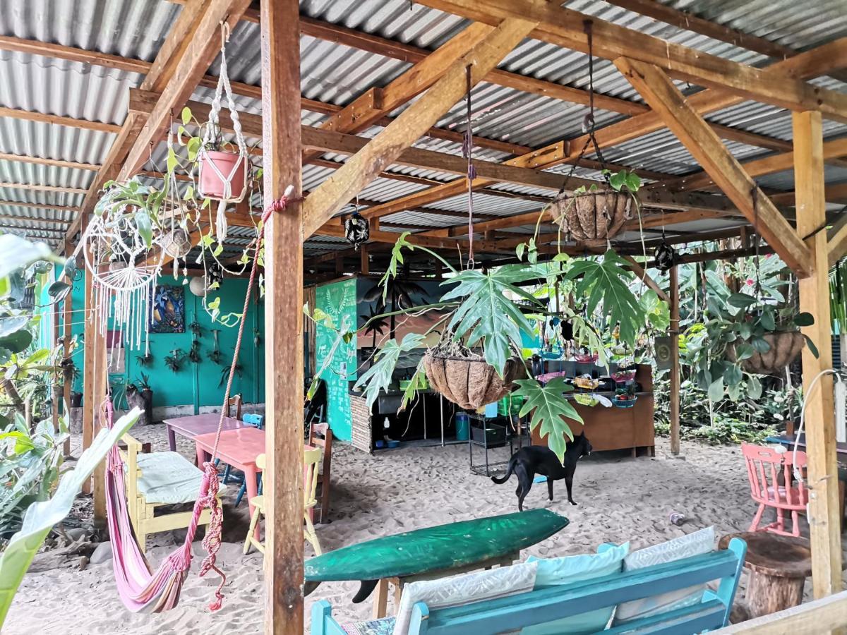 Oasis Albergue Puerto Viejo de Talamanca Exterior foto