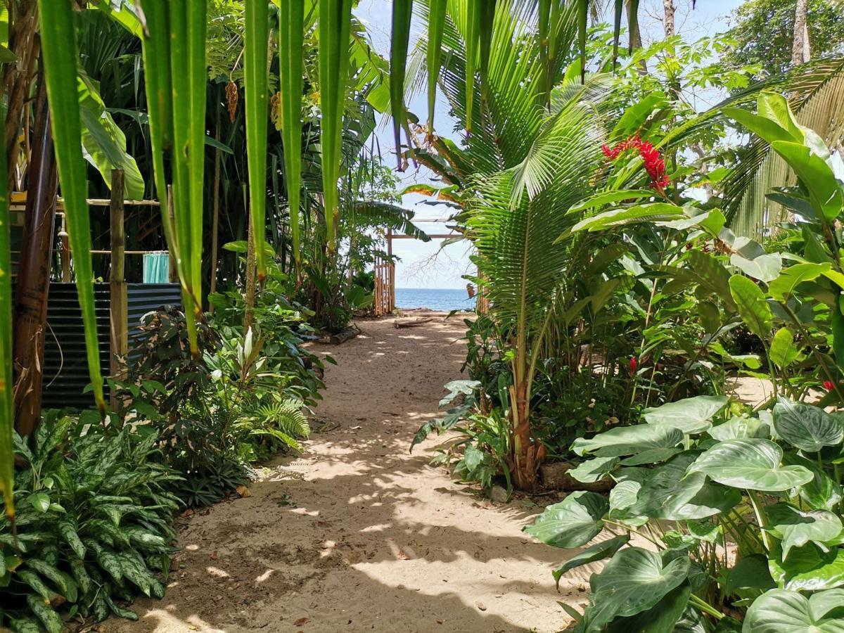 Oasis Albergue Puerto Viejo de Talamanca Exterior foto