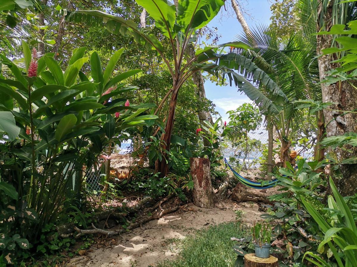 Oasis Albergue Puerto Viejo de Talamanca Exterior foto