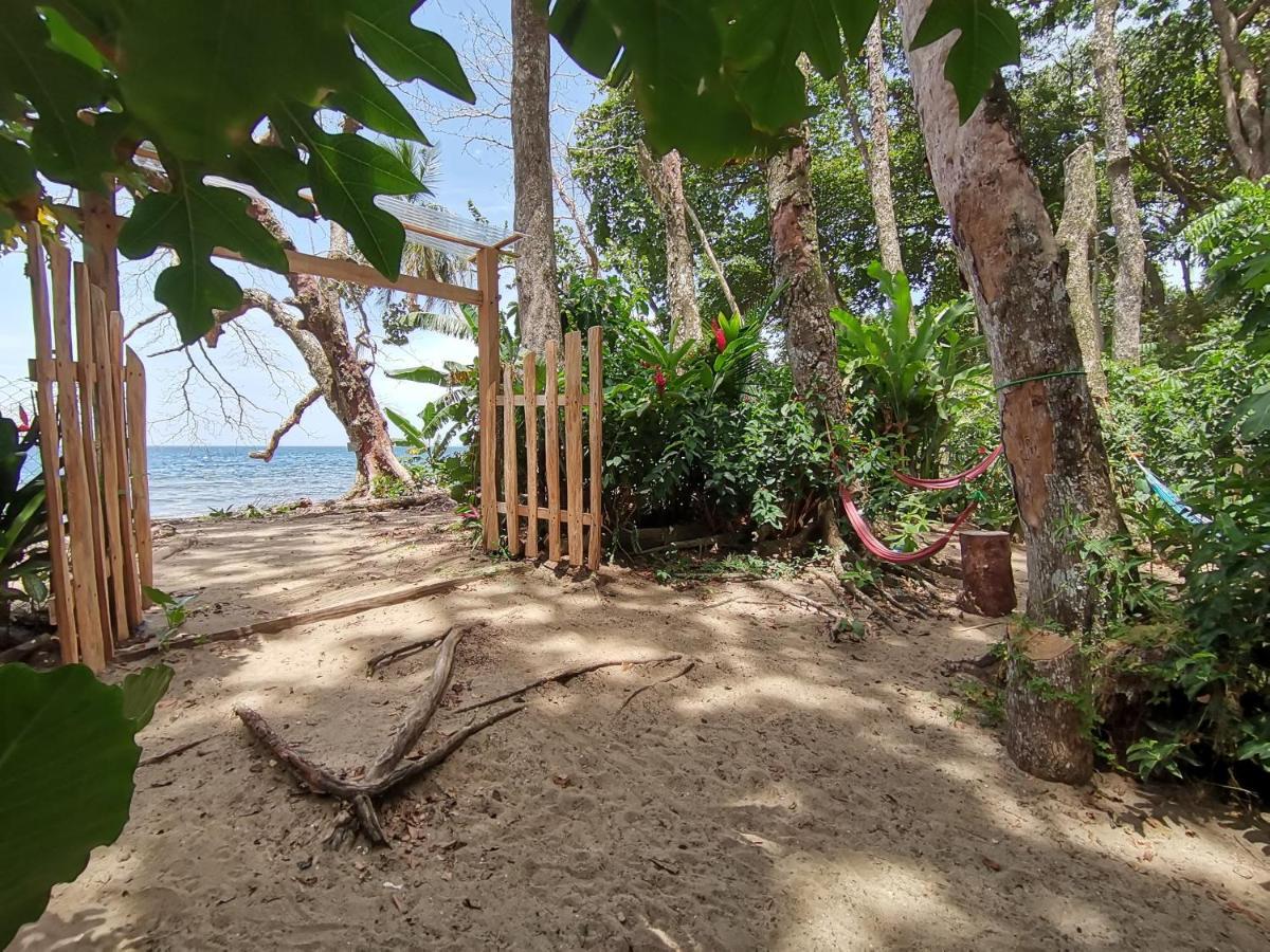Oasis Albergue Puerto Viejo de Talamanca Exterior foto