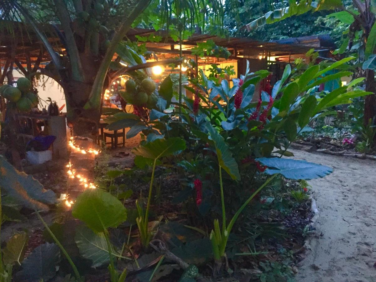 Oasis Albergue Puerto Viejo de Talamanca Exterior foto