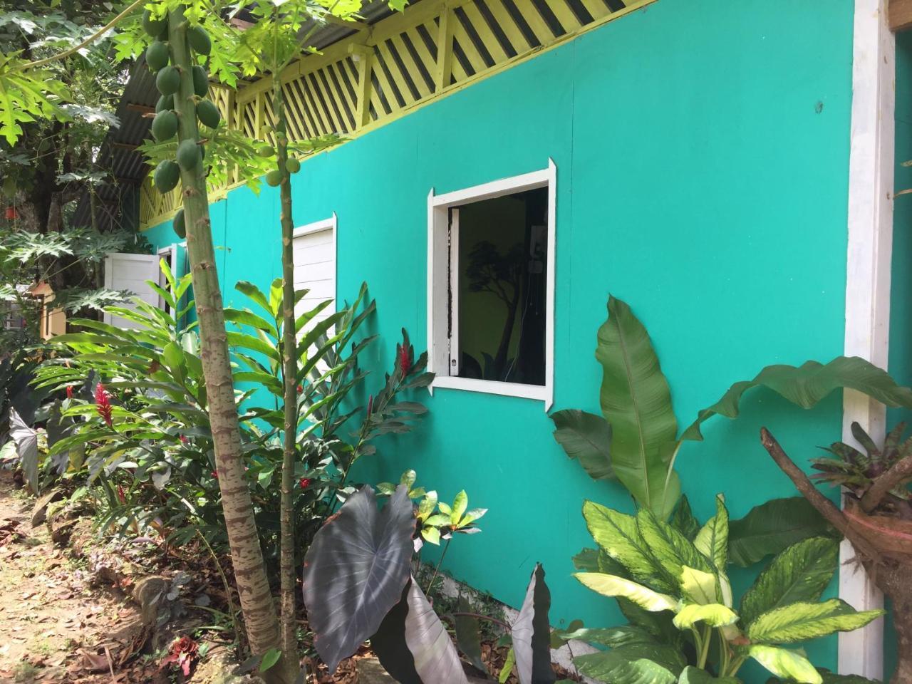 Oasis Albergue Puerto Viejo de Talamanca Exterior foto