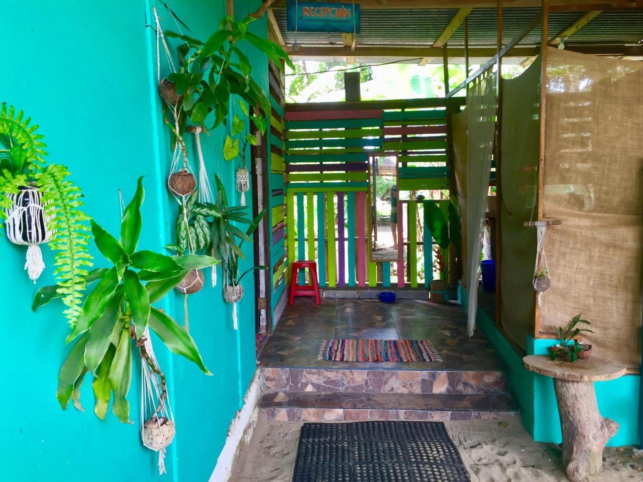 Oasis Albergue Puerto Viejo de Talamanca Exterior foto