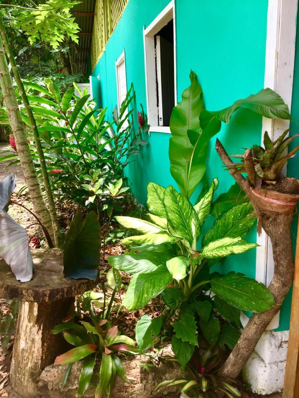 Oasis Albergue Puerto Viejo de Talamanca Exterior foto